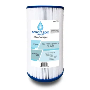 Smart Spa Supply 303279 Hot Springs Freeflow Spa Replacement Filter-303279, White