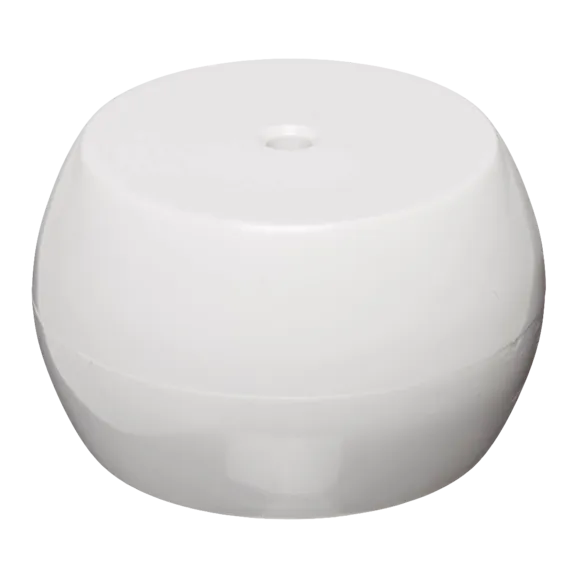 Polaris&reg; EyeBall Regulator Disk