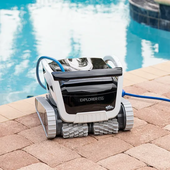 Dolphin Explorer E55