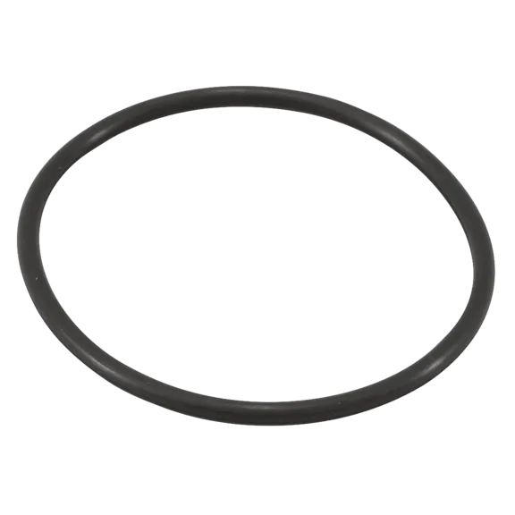 Jandy Pro Series TruClear Chlorinator O-Ring by Zodiac