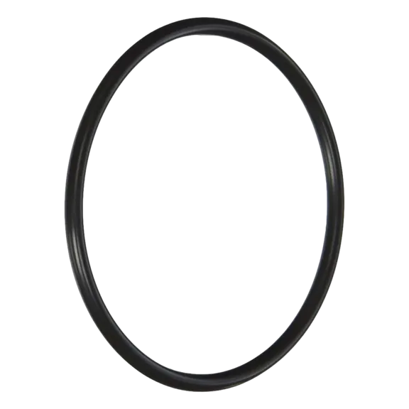 Rainbow PentAir Lid O-Ring Automatic