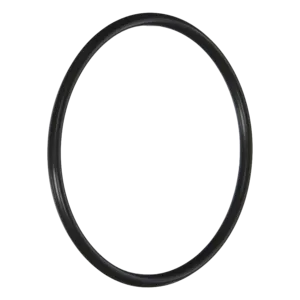 Rainbow PentAir Lid O-Ring Automatic