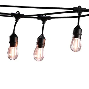 Blue Mano Outdoor 24 LED String Lights, 48ft. Cord