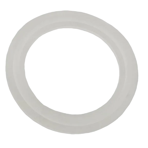 Waterway 2" Heater O-Ring / Gasket Model