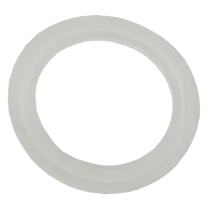 Waterway 2" Heater O-Ring / Gasket Model