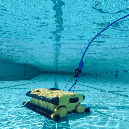 Dolphin Wave 300 XL