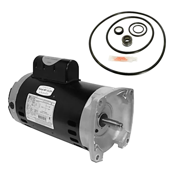 Puri Tech Sta-Rite Max-E-Glas II 2HP Replacement Motor Kit with Century SQ1202 Motor and GO-KIT-38