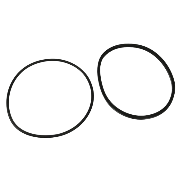 Jandy® Replacement Lid Seal and O-Ring