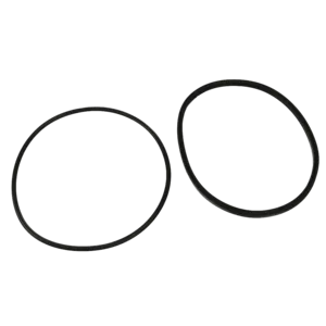 Jandy® Replacement Lid Seal and O-Ring