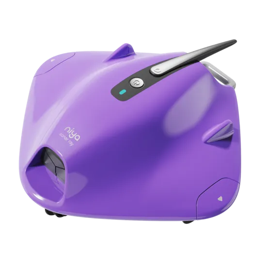 Niya Sonar Ray
