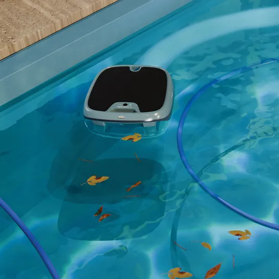 Dolphin Skimmi 300