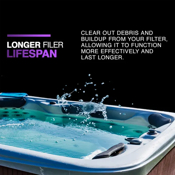 Puri Tech Pool Chemicals Liquid Filter Cleaner, 1 Quart