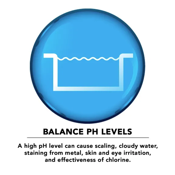 Puri Tech Chemicals pH Plus for Swimming Pools and Spas pH Increaser Balancer, 2-Pack, 20lb. bags