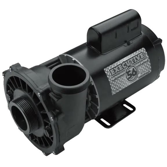 Waterway Plastics Executive Spa Pump with 56 Frame, 2-Speed, 230V, 5HP, 2" intake, 3722021-1D