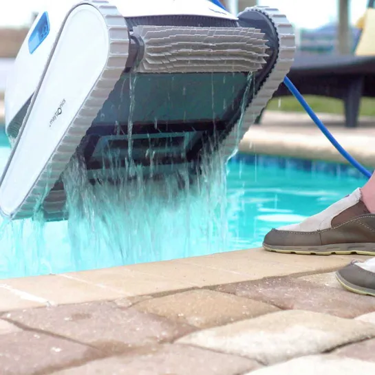 Dolphin Refurbished Proteus DX4