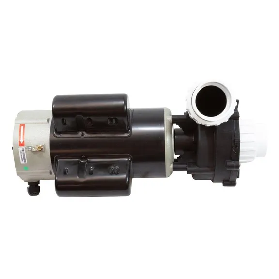LX 2-Speed Pump with 2" Fittings, 2.0HP, 230V 10A/3.0A 48WUA2002C-II
