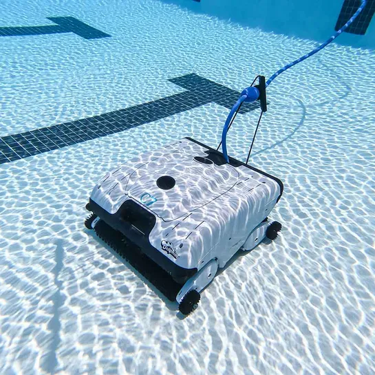 Dolphin C7