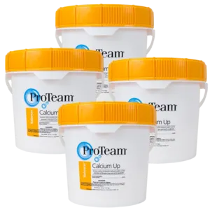 ProTeam Calcium Hardness Increaser for Swimming Pools and Spas in Bucket 4lb (Pack of 4)