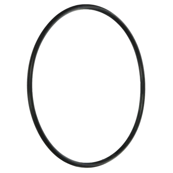 Jandy&reg; Energy Efficient Water Filter O-Ring Kit