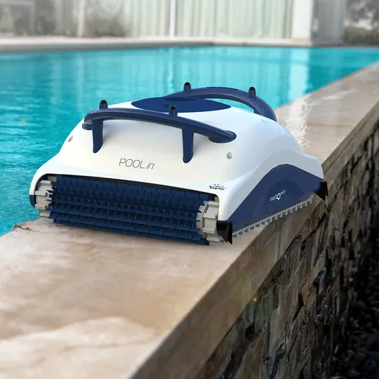 Dolphin POOL IN