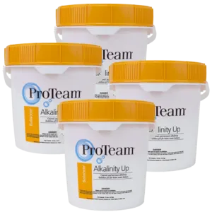 ProTeam Alkalinity Increaser for Swimming Pools, 10 lb Bucket (Pack of 4)