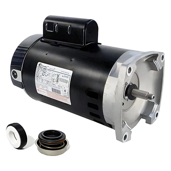 Century A.O. Smith Up-Rated 2-1/2 HP Pool and Spa Pump Motor with 56Y Square Flange, 11.5A 230V