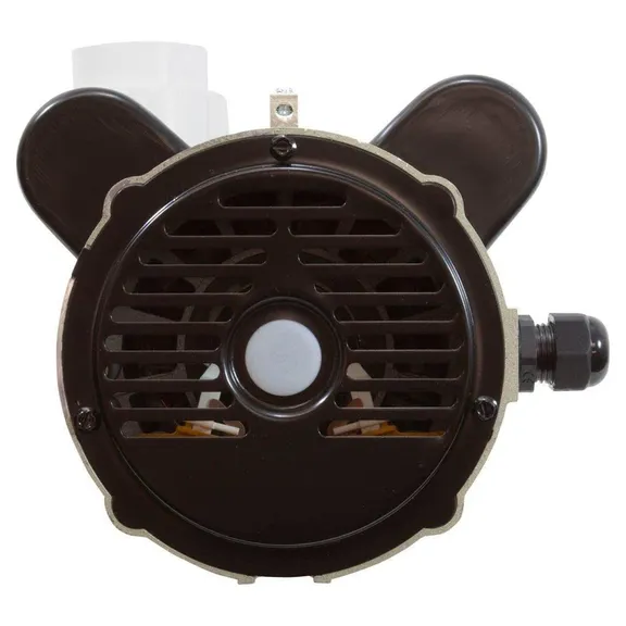 LX 2-Speed Pump with 2" Fittings, 1.5HP, 115V 13.8A / 3.8A 48WUA1501C-II