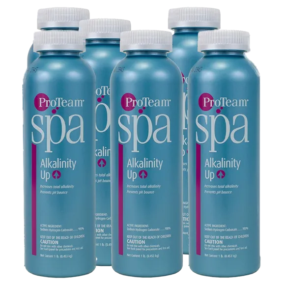 ProTeam Spa Alkalinity Increaser - 6 Pack of 1 lb Bottles