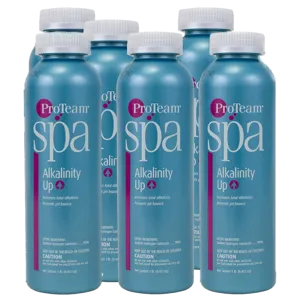 ProTeam Spa Alkalinity Increaser - 6 Pack of 1 lb Bottles