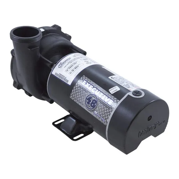 Waterway Plastics Executive Spa Pump - 2 hp, 230V, 2-Speed, 2"x2", 48 Frame, Side Discharge
