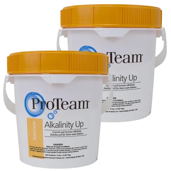 ProTeam Increasing Alkalinity Levels in Swimming Pools 5 lb Bucket (Pack of 2)