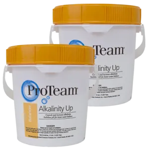ProTeam Increasing Alkalinity Levels in Swimming Pools 5 lb Bucket (Pack of 2)
