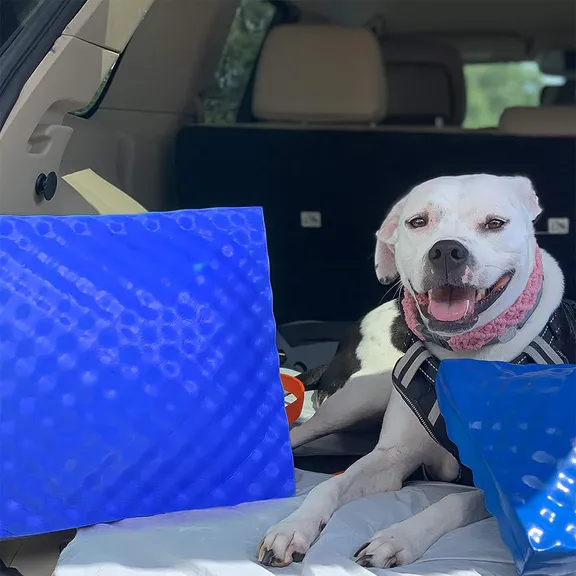 VOS Waterproof Pillow, Blue