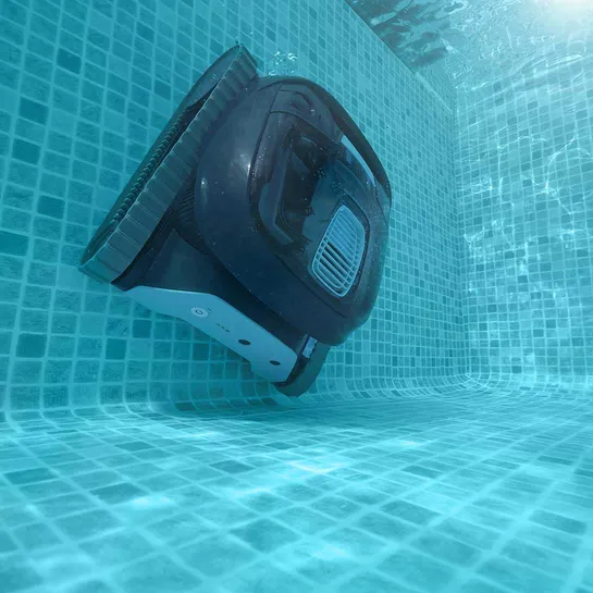 Dolphin LIBERTY 300