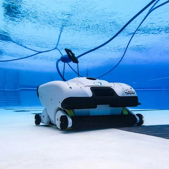 Dolphin C7