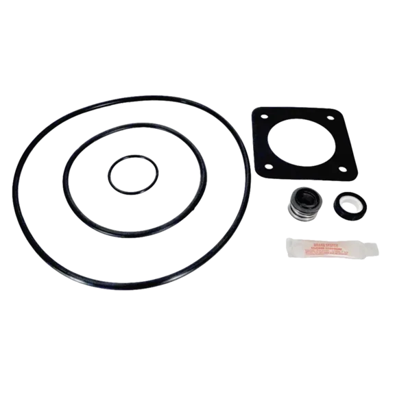 Puri Tech Sta-Rite DuraGlas MaxiGlas P2R P2RA '98 - Present GO-KIT