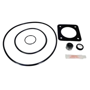 Puri Tech Sta-Rite DuraGlas MaxiGlas P2R P2RA '98 - Present GO-KIT
