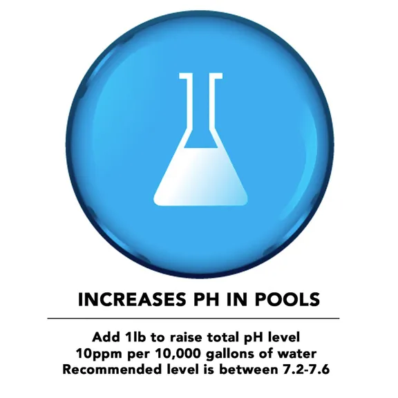 Puri Tech Chemicals pH Plus for Swimming Pools and Spas pH Increaser Balancer, 2-Pack, 20lb. bags