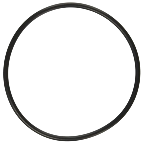 Hayward Replacement Strainer Cover O-Ring for Select Hayward Pumps - SPX1500P