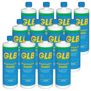GLB Algimycin 2000 Pool Algaecide Cleaner (Pack of 12)