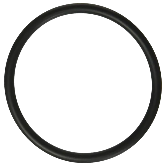 Hayward Sand Filter Replacement Bulkhead O-ring