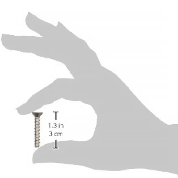 Hayward Automatic Skimmer Replacement Set - 1-1/4-Inch Long Self Tapping Face Plate Screws
