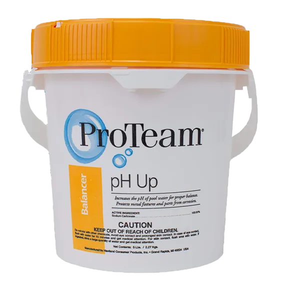 ProTeam 5 lb Bucket pH Up Balancer for Increasing pH Levels in Swimming Pools and Spas