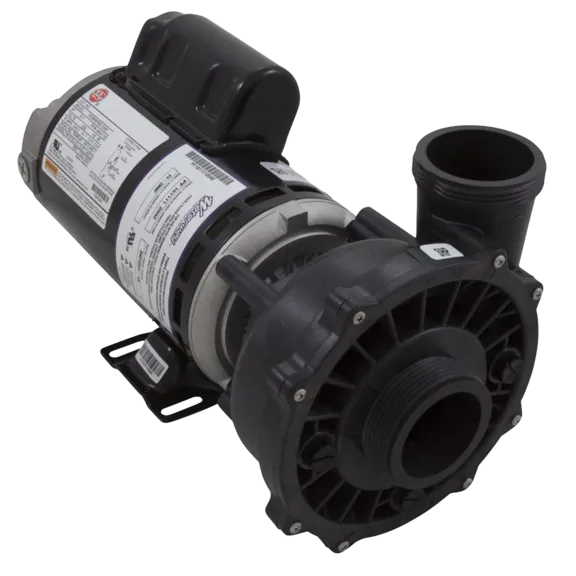 Waterway Plastics Executive Dual Speed 2-Inch Intake with 3.0 HP, 230V 8.5A Motor