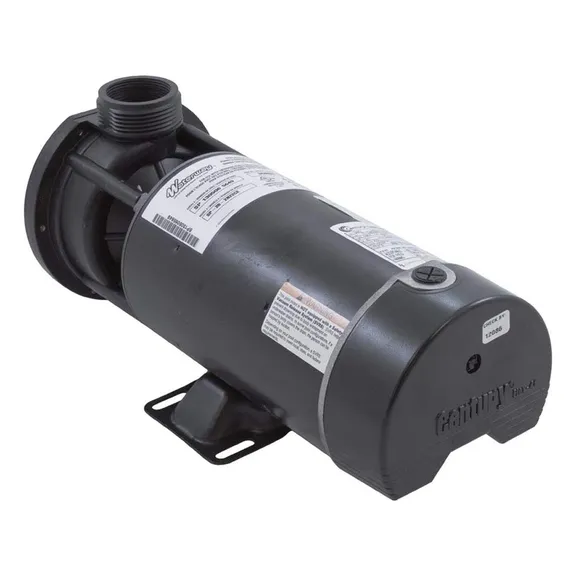 Waterway Plastics 3420820-15 48-Frame Spa Pump